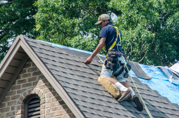 Roof Gutter Cleaning in Oxford, GA